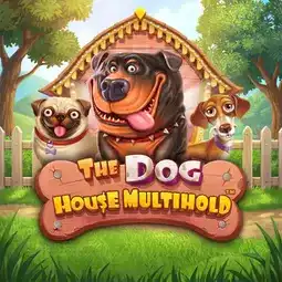 The Dog House Multihold gra w Monsterwin Casino dla graczy z Polski The Dog House Multihold gra w Monsterwin Casino dla graczy z Polski